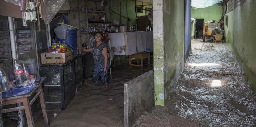 Hasta el momento las autoridades peruanas reportaron 19 colegios derrumbados y un sinnúmero de casas colapsadas. (AP)