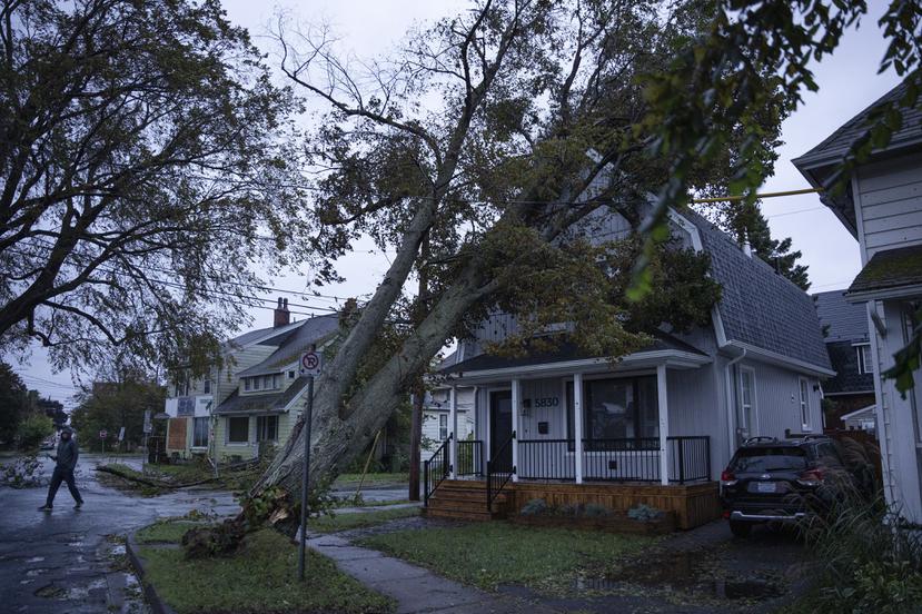 Ian Livingstone inspecciona el daño a su casa por un árbol caído temprano en la mañana en Halifax el sábado 24 de septiembre de 2022 mientras la tormenta postropical Fiona continúa azotando el área.