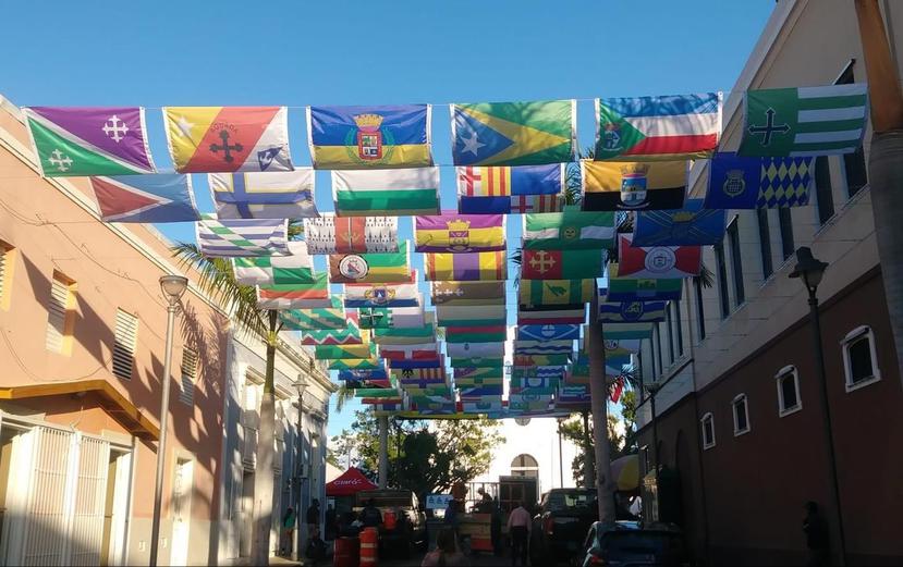 Las banderas está ubicadas en la calle Baldorioty, frente a la plaza pública de Coamo. (Suministrada)