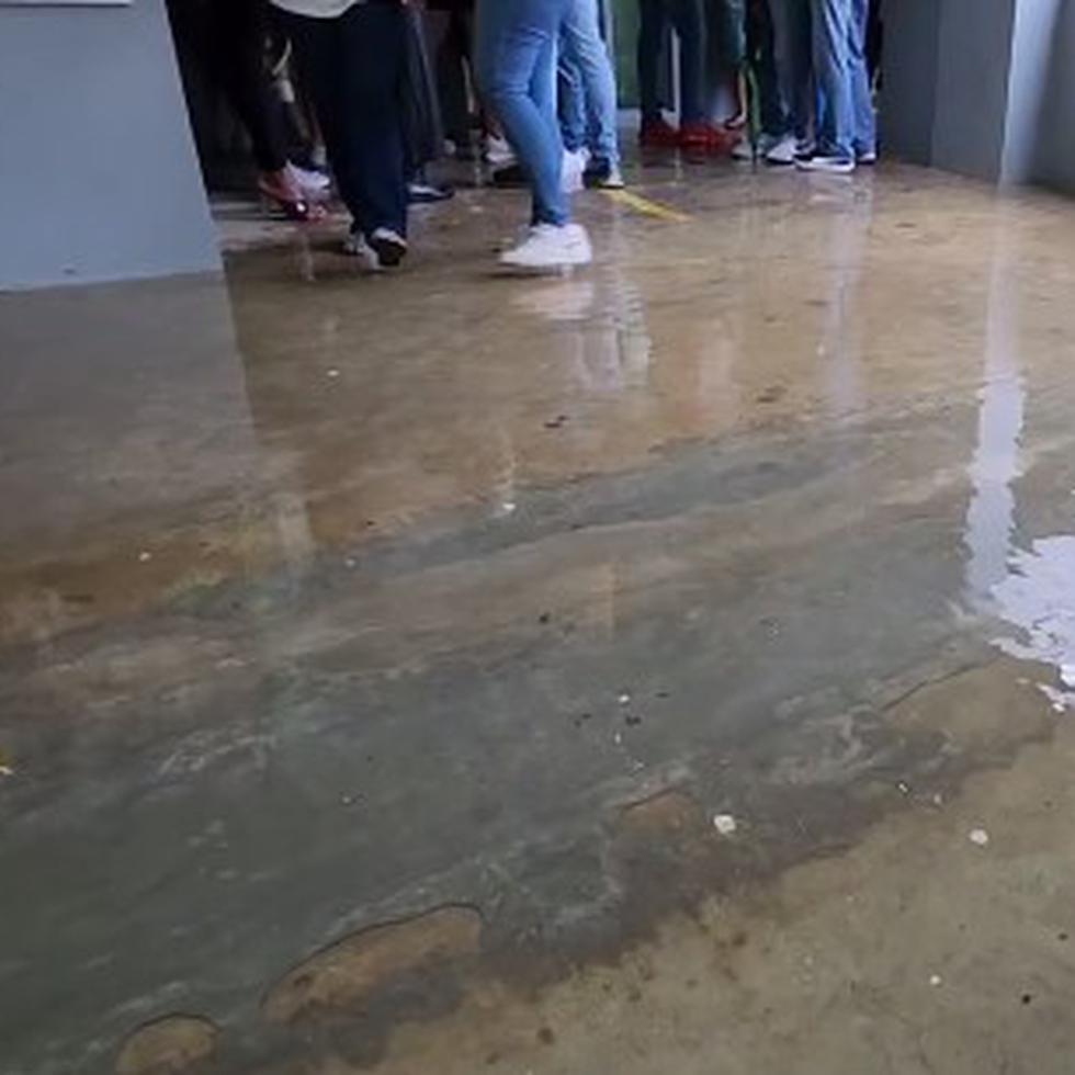 Un aguacero torrencial provocó que se inundaran los pasillos en la escuela José Santos Alegría, lo que obligó a la fila de votantes a pegarse a una pared.