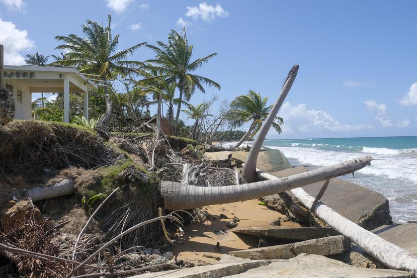 El área de Playa Fortuna, en Luquillo, ha sido gravemente afectada por la erosión costera, que ha derribado palmas y estructuras en concreto.