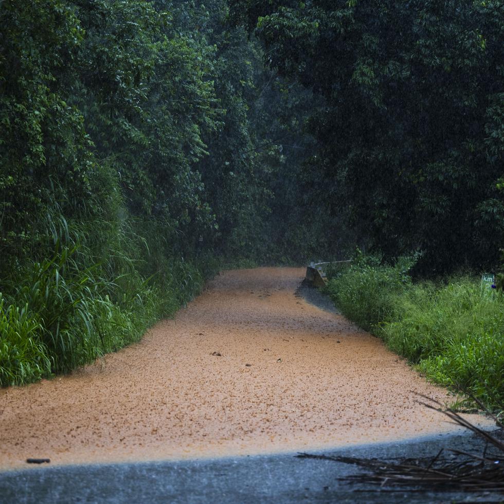 El DTOP trabaja junto a NMEAD y otras agencias públicas para reabrir varios de los tramos afectados por las lluvias del martes.