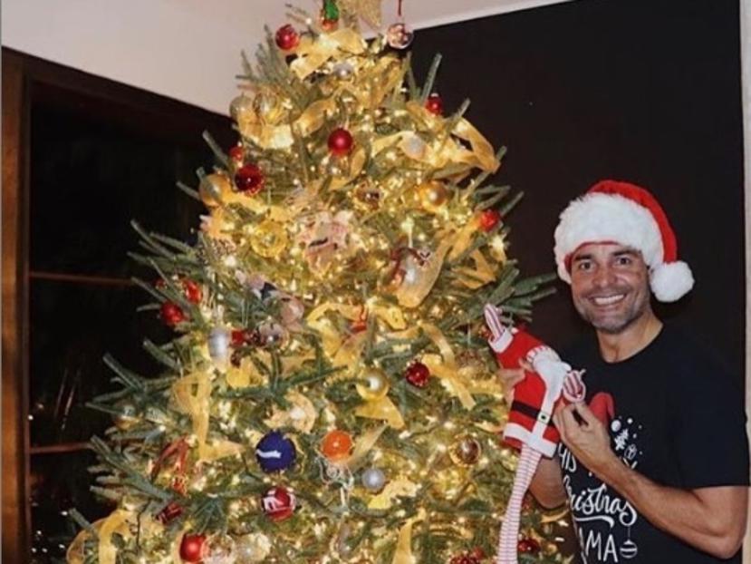 Chayanne posó junto a su árbol de Navidad. (Instagram)