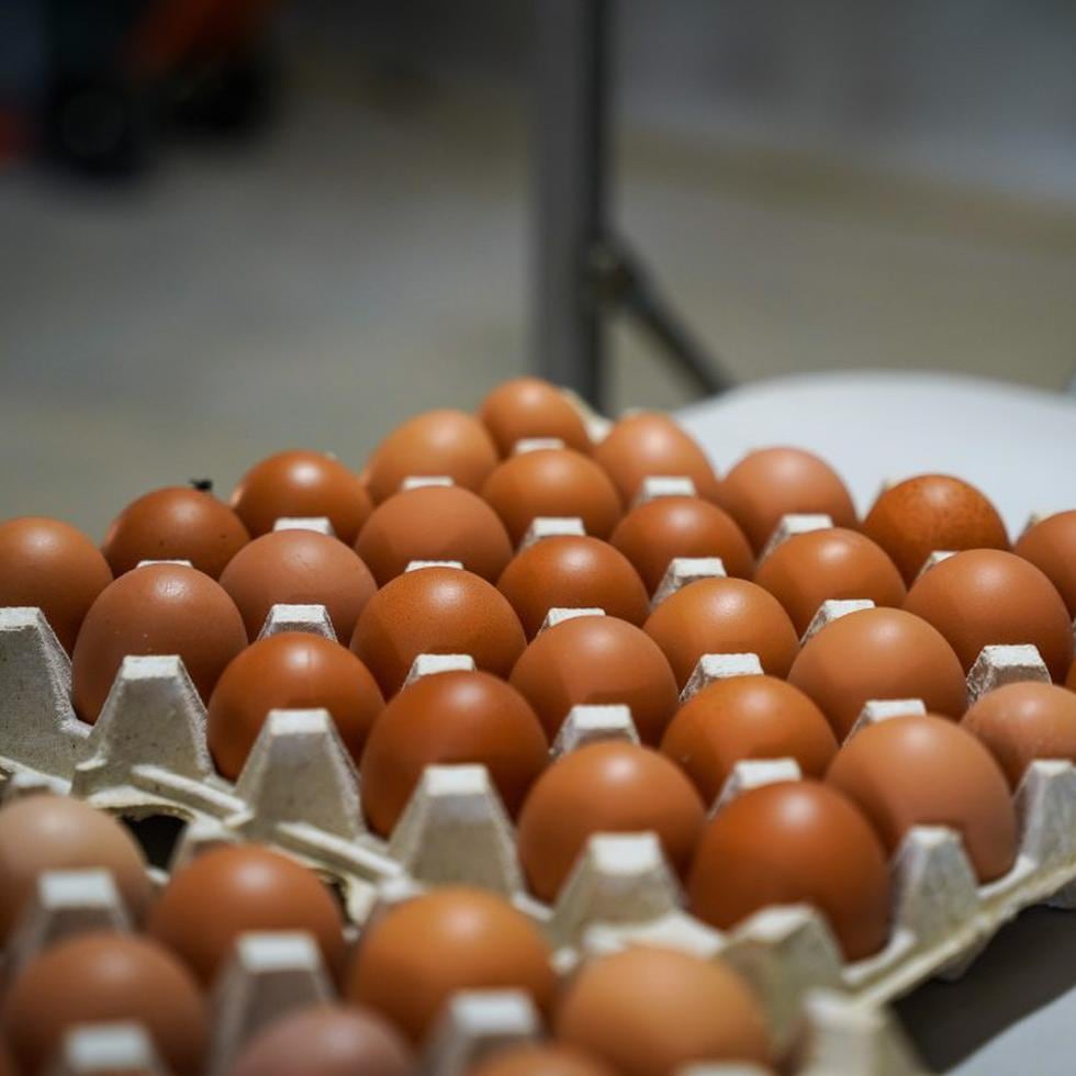 El precio de los huevos se mantiene en alrededor de $5 la docena.