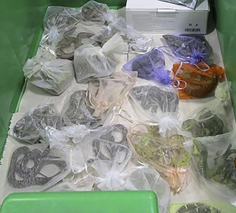 En esta imagen tomada en febrero de 2022 y distribuida por la Oficina de Aduanas y Protección Fronteriza de Estados Unidos, se ven serpientes dentro de bolsas que fueron encontradas bajo la ropa de un hombre en el puerto de entrada de San Ysidro, California.