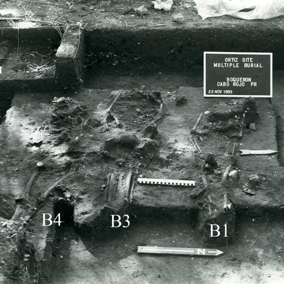 November 1993 photograph of Ortiz burials in situ.