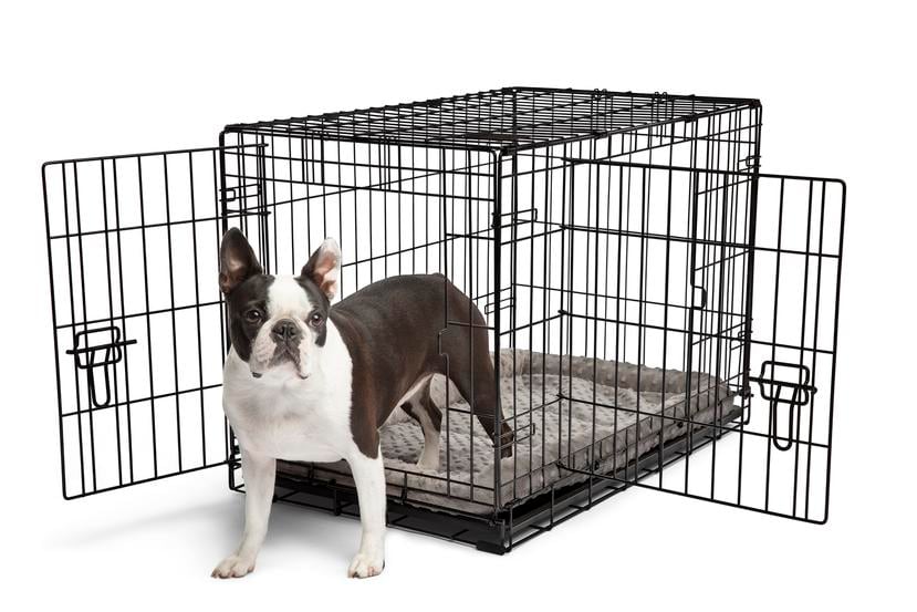 Una jaula para cada perro de la familia ayudará a transportarlos de una manera más fácil y les dará a ellos mayor sensación de seguridad.