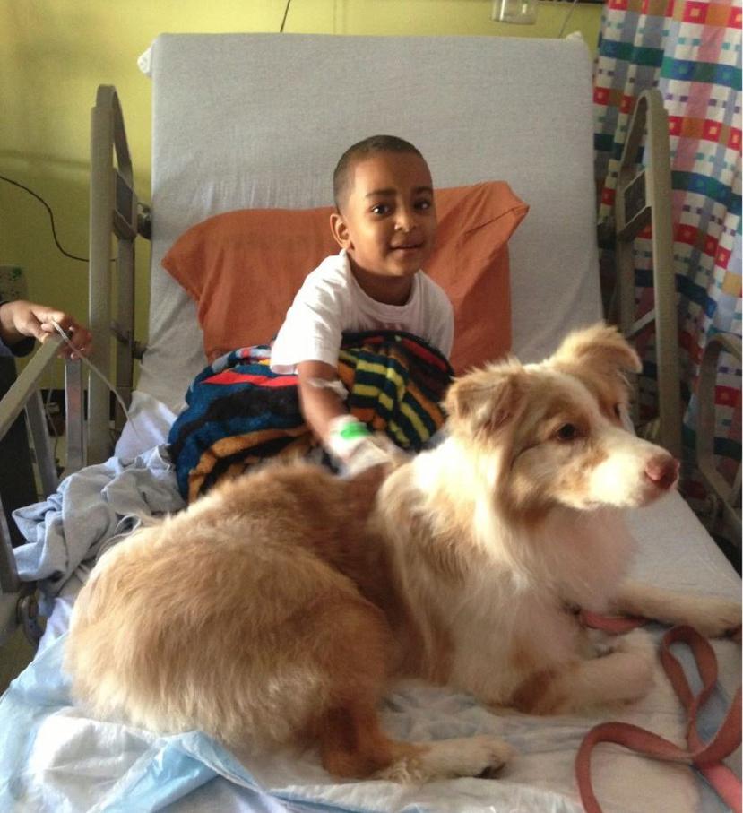 Perro de terapia en el Hospital San Jorge, en Santurce. (Suministrada)