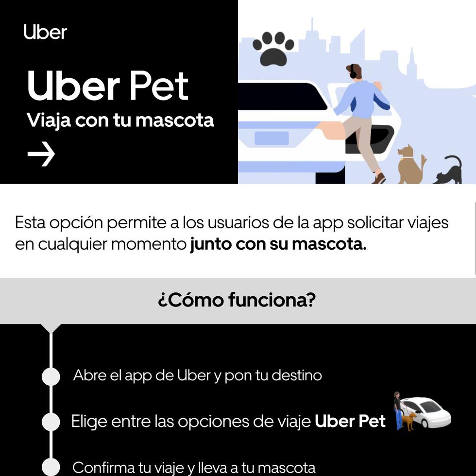 Gráfica de Uber Pet con las recomendaciones para viajar con tu mascota.