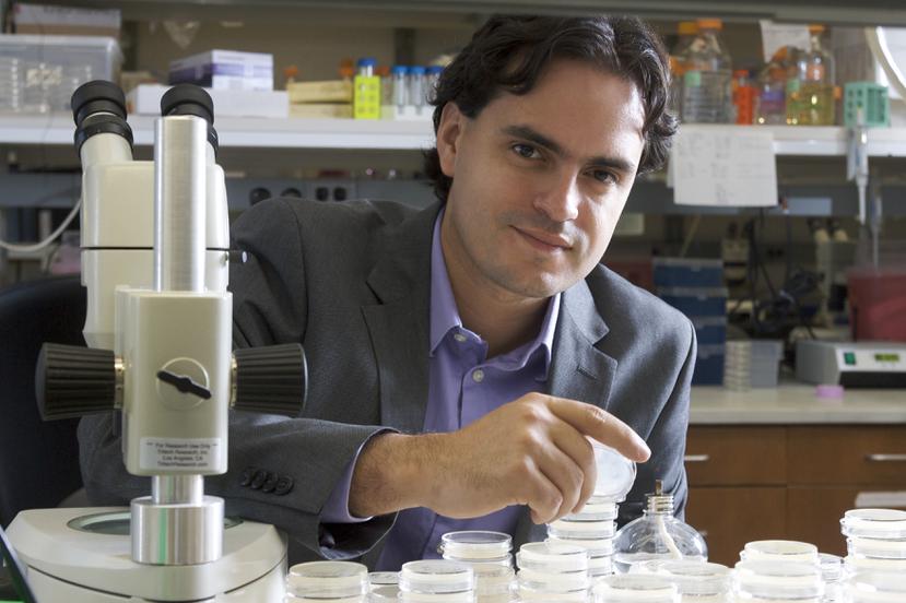 Dr. Daniel Colón Ramos, profesor de Neurociencia y Biología Celular de la Universidad de Yale en Connecticut.