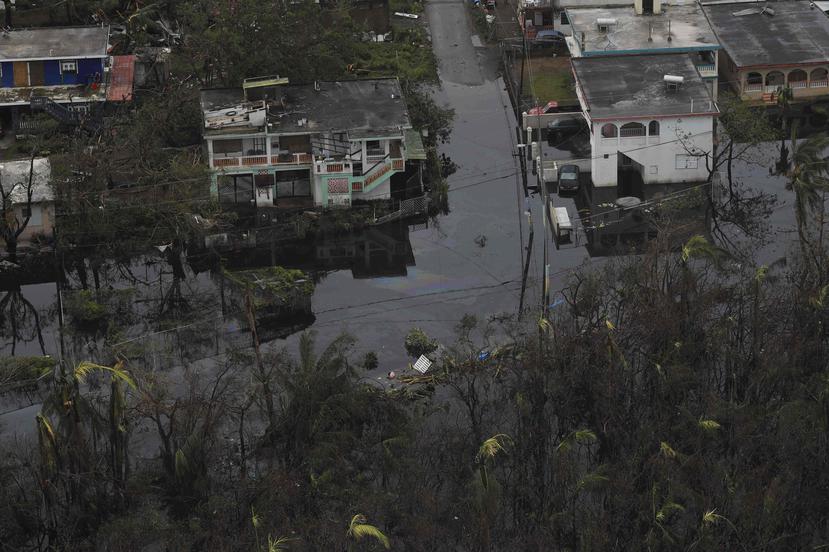 El área de Madianía Alta en Loíza después del paso del huracán María. (GFR Media)