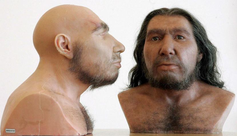 El primer encuentro entre los neandertales euroasiáticos y la nueva especie humana proveniente de África fue hace más de 130,000 años (EFE).