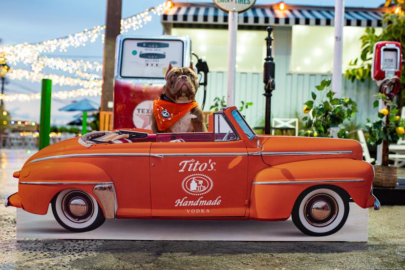 Tito’s Handmade Vodka, en su compromiso con mejorar la visa de las mascotas y sus familias, celebró el el evento Everyday is Dog Day, donde el dinero recaudado se le estará donando a distintos albergues de Puerto Rico.