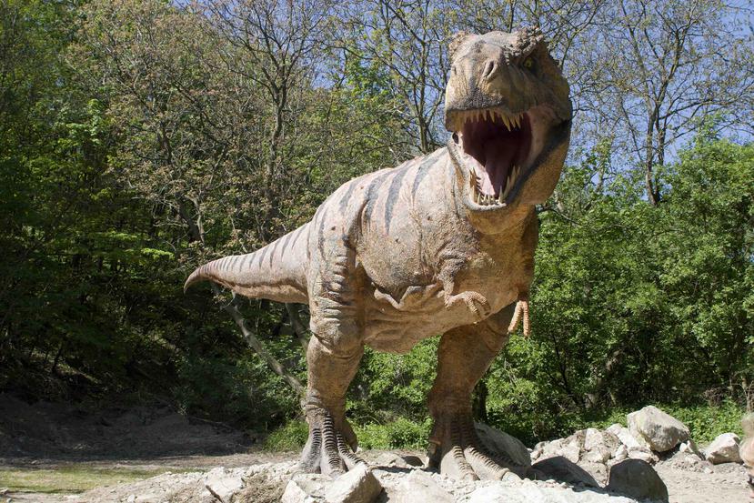 Los dinosaurios que sobrevivieron al efecto del aire murieron de hambre. (Archivo / GFR Media)