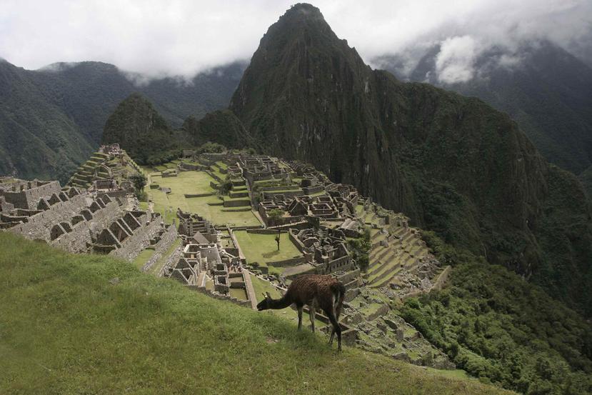 Para incentivar la recuperación del turismo, el Gobierno aprobó la entrada gratuita a Machu Picchu hasta final de año de los visitantes menores de edad y mayores de 65 años, tanto nacionales como extranjeros. (EFE)