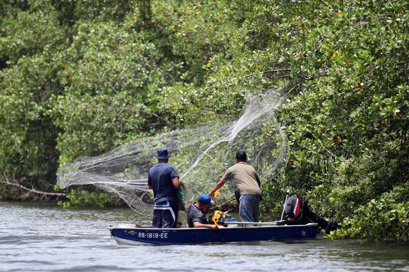 En febrero de 2018, el Departamento de Comercio de EE.UU., al que está adscrita la NOAA, declaró un desastre pesquero en la isla debido al impacto de Irma y María. (GFR Media)
