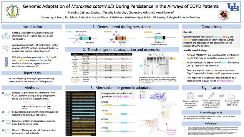 El trabajo de investigación de Marielisa Cabrera, Genomic Adaptation of Moraxella catarrhalis During Persistence in the Airways of Chronic Obstructive Pulmonary Disease Patients.