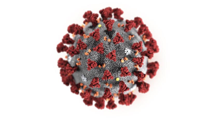 Esta ilustración proveída por los Centros de Control y Prevención de Enfermedades de Estados Unidos muestra el Novel Coronavirus 2019 (2019-nCoV). El virus fue identificado como la causa de un brote detectado inicialmente en China. (CDC vía AP)