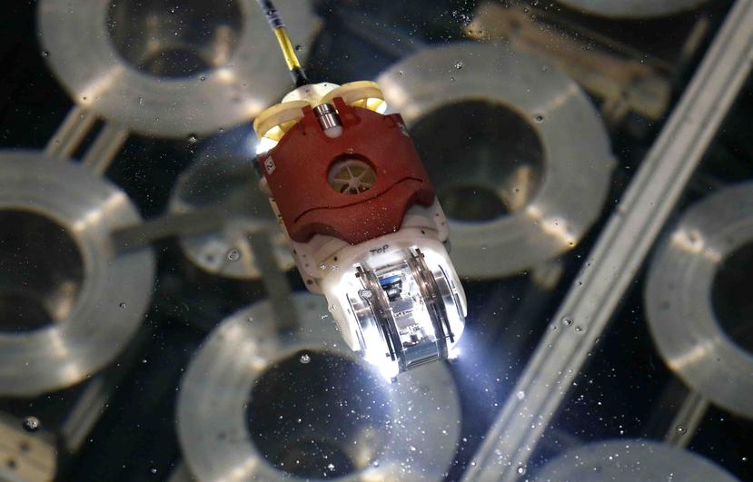 El robot se desplazó sin problemas hacia las áreas planeadas y capturó imágenes de los daños subacuáticos que no habían sido vistas hasta ahora. (AP)