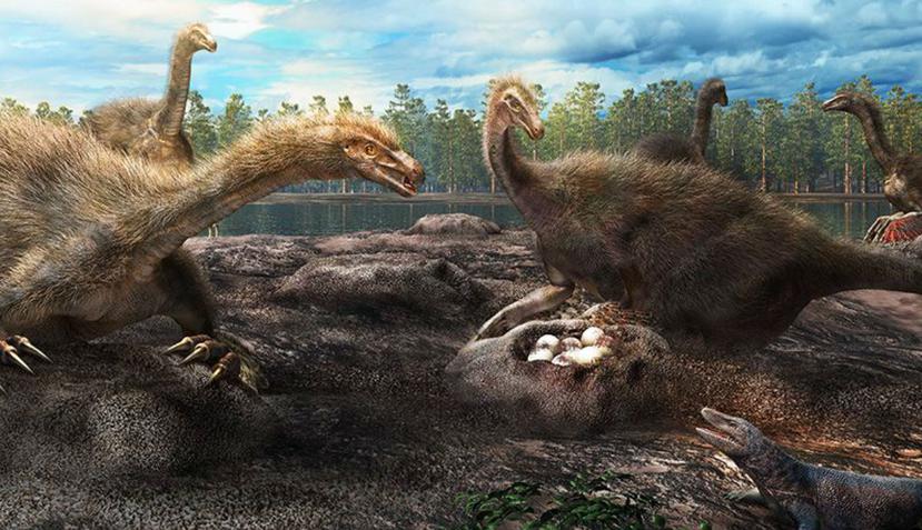 Esto revelaría que el comportamiento protector apareció por primera vez en los dinosaurios emplumados (Nature/ Masato Hattori).