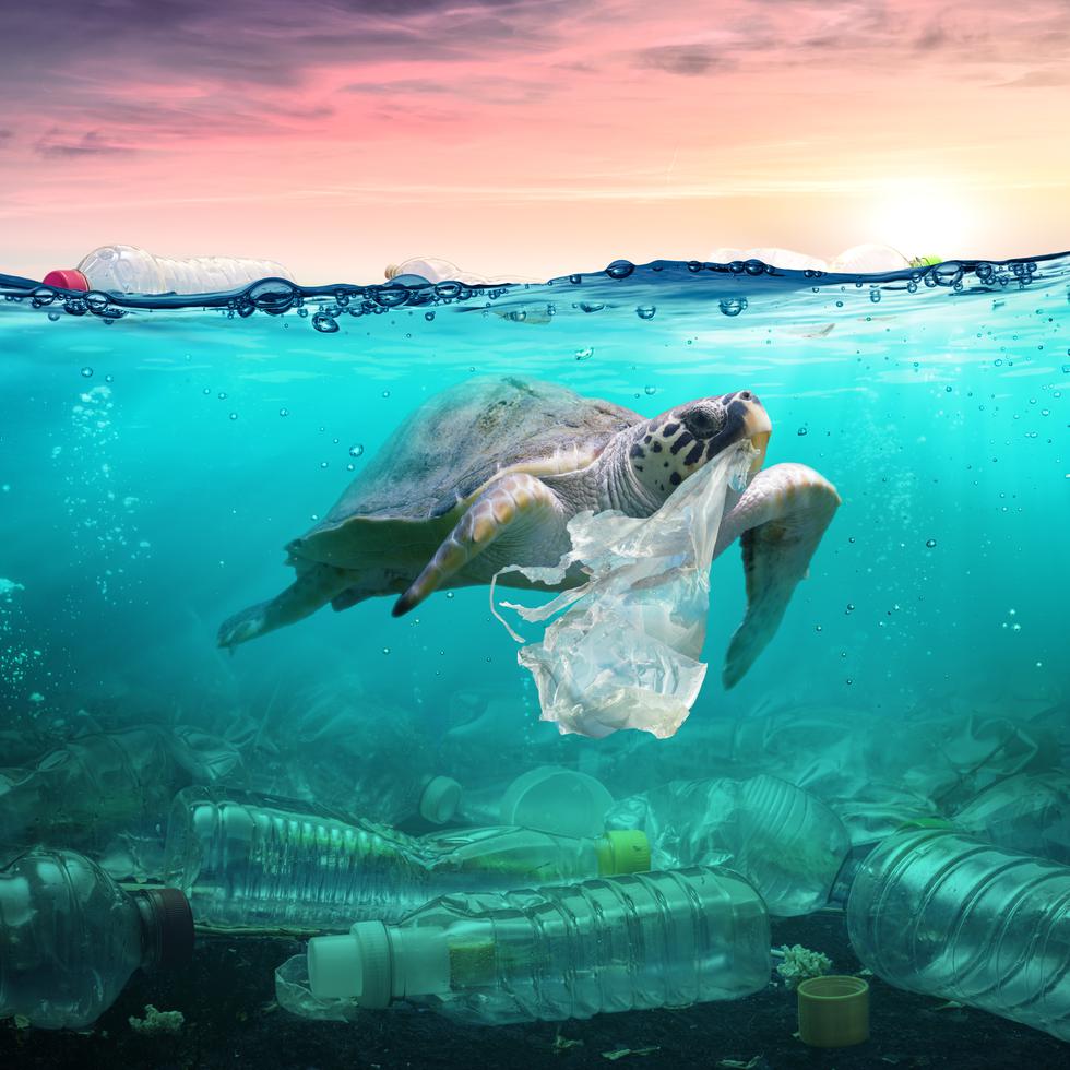 Sin duda, la contaminación por plástico genera múltiples riesgos ambientales, económicos y sociales.