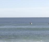 En esta imagen tomada de un video, equipos de búsqueda en botes trabajan en el mar en Elliston, Australia, el sábado 13 de mayo de 2023. La policía seguía buscando el lunes los restos de un surfista de 46 años atacado por un tiburón dos días antes ante la costa de Australia. (Australian Broadcasting Corp. via AP)