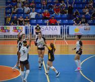 Las Pinkin de Corozal están quintas en la tabla de posiciones del Voleibol Superior Femenino.
