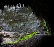 Vista al sumidero Empalme de Cueva Clara en el Parque Nacional Cavernas del río Camuy.