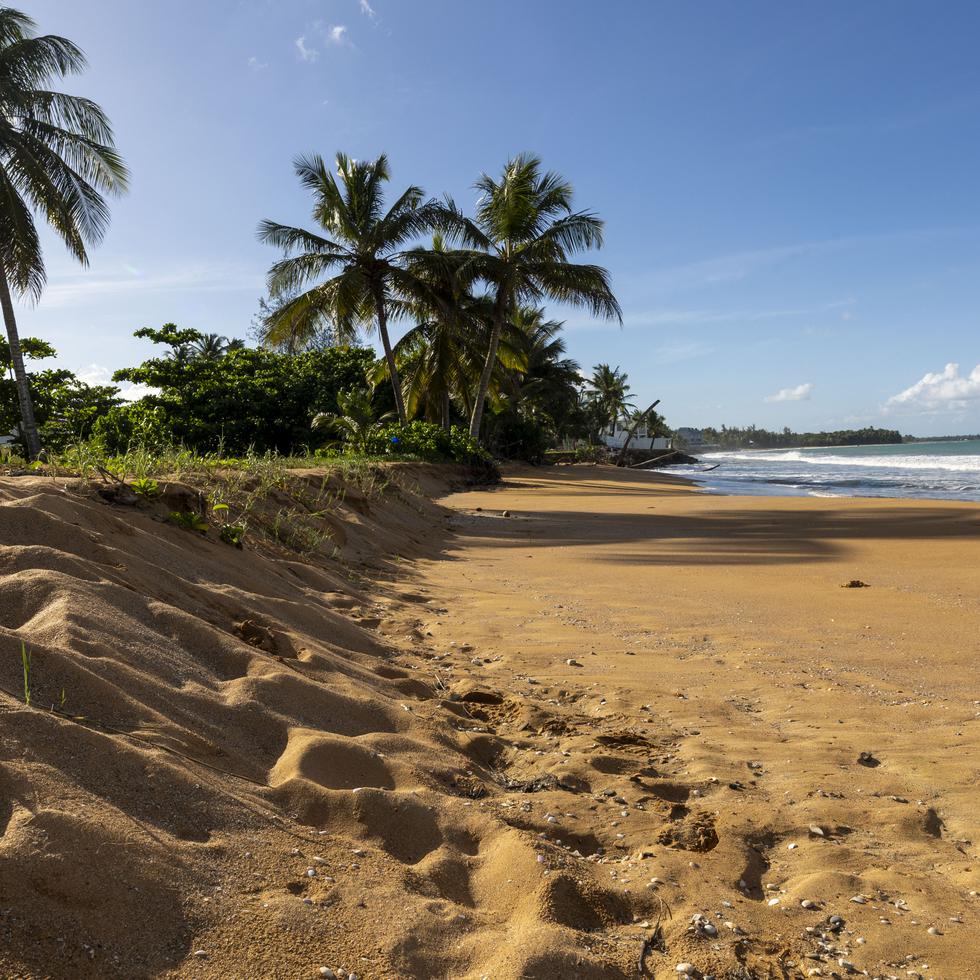 El área de Fortuna, en Luquillo, es uno de los puntos en Puerto Rico que ha ido perdiendo su franja de playa.