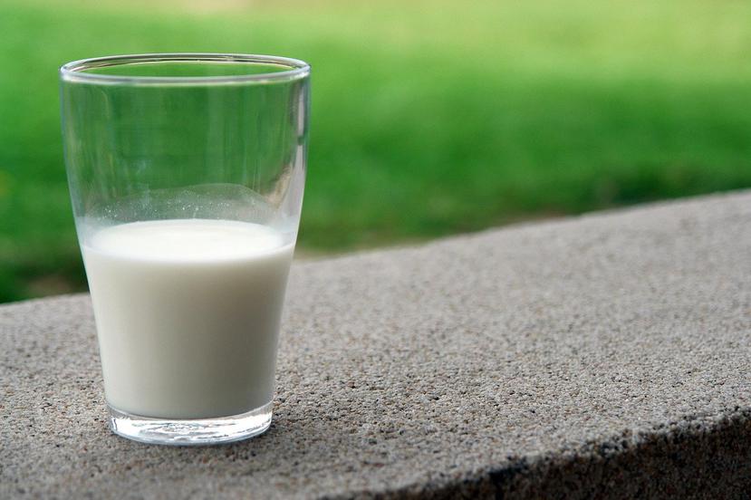La leche contiene ácido esteárico que, junto con el oleico, disminuye las cifras de colesterol sanguíneo. (Pixabay)