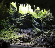 Las Cuevas de Camuy ocuparon el primer puesto entre las atracciones más buscadas en el portal de Discover Puerto Rico.