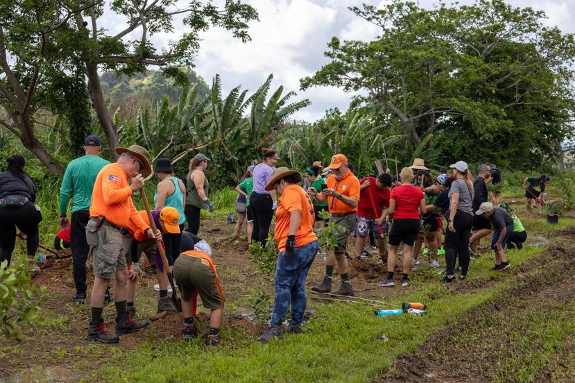 A la actividad se unieron grupos de caminantes frecuentan el paseo lineal, así como organizaciones comunitarias, varias tropas de los Niños Escucha, y ciudadanos particulares de distintas partes de Bayamón. 