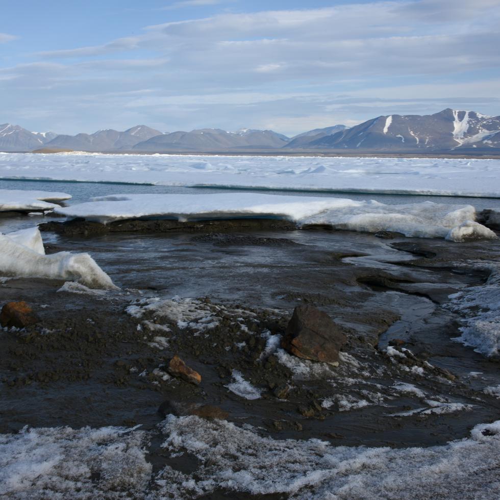 Foto de la isla que científicos consideran la más norteña del mundo, frente a las costas de Groenlandia. Foto facilitada por Morten Rasch el 28 de agosto del 2021.