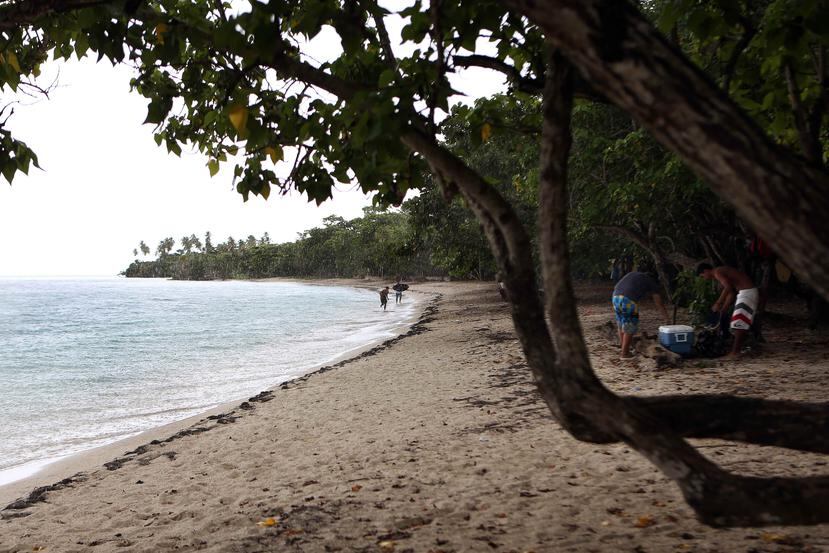 El hallazgo ocurrió entre la Playa Buyé y Villa Lamela en Cabo Rojo. (GFR Media)
