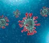 El coronavirus SARS-CoV-2 ha experimentado miles de mutaciones desde que los primeros casos fueron detectados en Wuhan, China entre noviembre y diciembre de 2019.