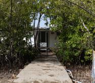 Se alega que como parte de la estructura de esta casa, se construyó un tablado y terraza en la zona del mangle, talando el mangle rojo que ubica en la zona.