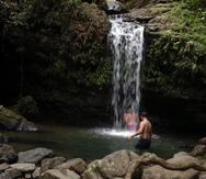 El Bosque Nacional El Yunque está operando por reservaciones.