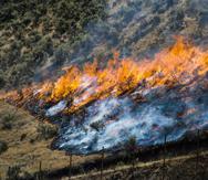 Bomberos controlan un incendio en el Cañón Tollgate, cerca de Wanship, Utah. (Rick Egan/The Salt Lake Tribune vía AP)
