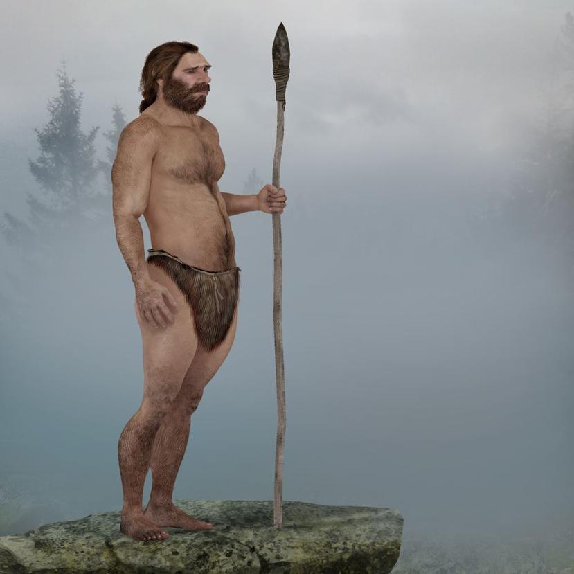 Representación humana de un neandertal. (Shutterstock)