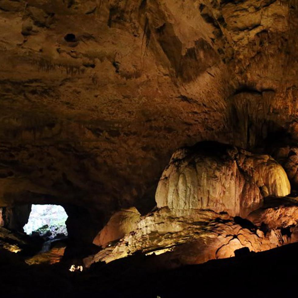 El Parque Nacional de las Cavernas del Río Camuy es apenas la parte desarrollada para el disfrute público de un sistema de cuevas, río subterráneo y biodiversidad que se reconoce como el más extenso del hemisferio y el tercero en el mundo. En total, los terrenos del parque ocupan 260 cuerdas en la zona ecológicamente crítica del karso.