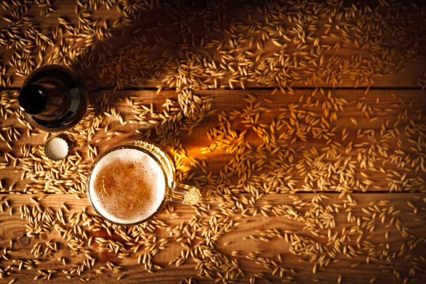 Los granos de cerveza ayudan a cultivar hongos. (Shutterstock)
