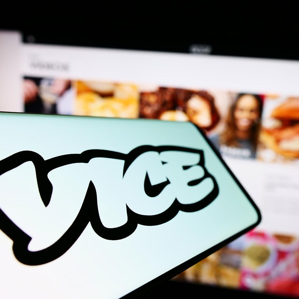 VICE opera varias negocios del ámbito de los medios digitales y la producción audiovisual, entre ellos Vice News, Vice TV, Pulse Films, Virtue y Refinery29.