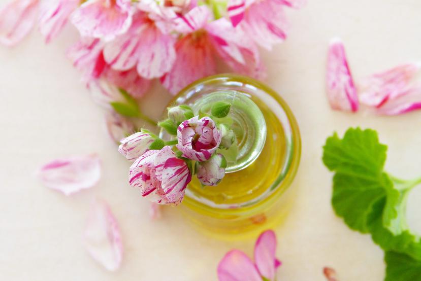 El aceite de geranio de rosa resultaría una opción para tratar un molestoso efecto secundario del tratamiento del cáncer. (silviarita / Pixabay)