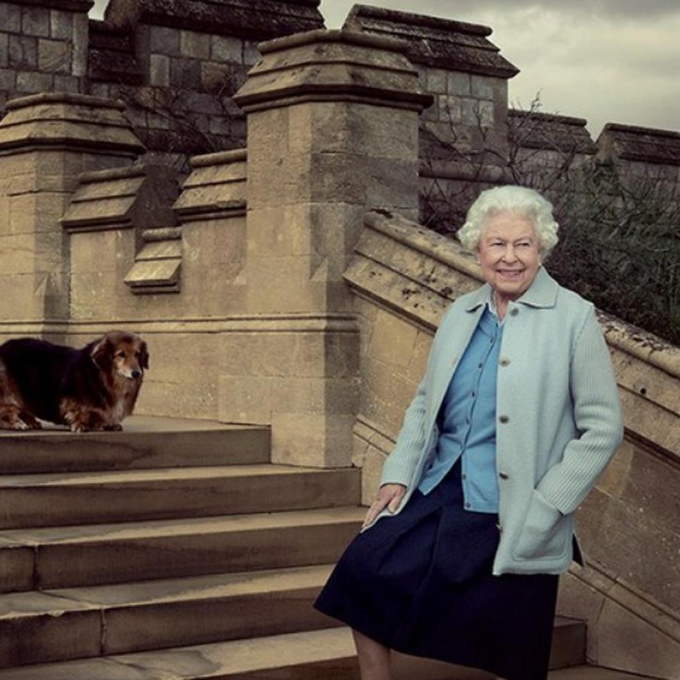 En 2016, Elizabeth II posó con sus perros para una de las fotos con motivo de su cumpleaños número 90. Willow es el corgi que está a la izquierda. (Foto: EFE)