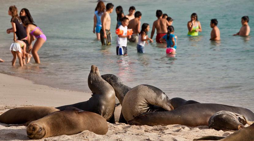 Las Islas Galápagos son un patrimonio cultural de la Unesco. (Archivo)