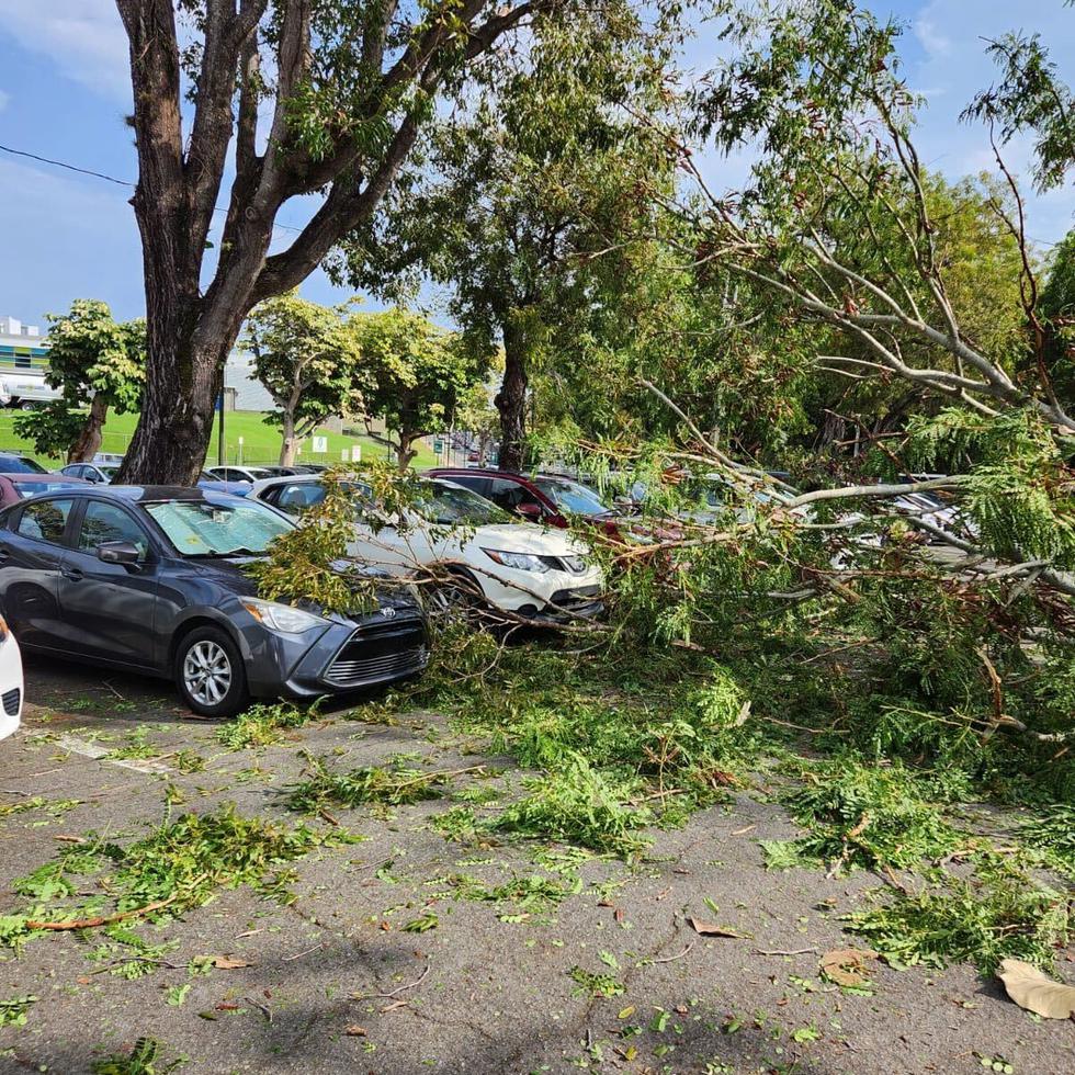 Ante el paso de una vaguada que afecta la isla, un enorme árbol cayó y causó graves daños a los vehículos de tres empleados del Centro Médico de Río Piedras.