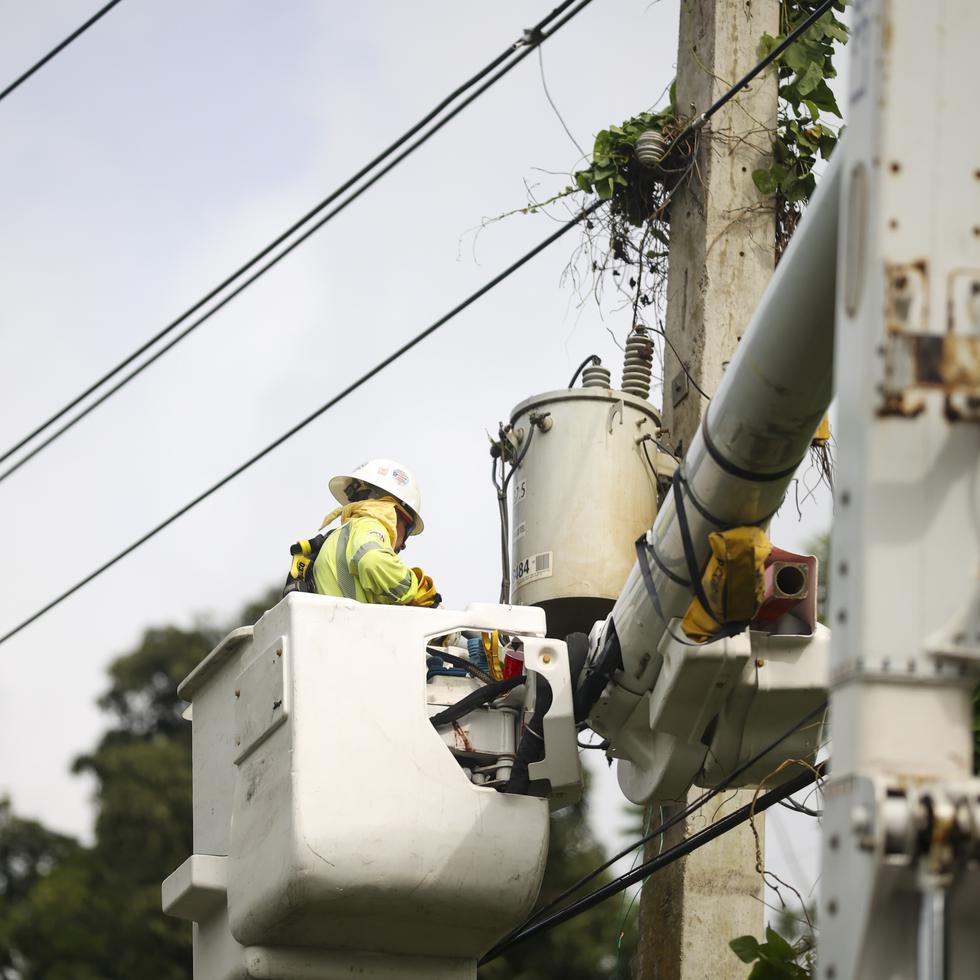 LUMA Energy ha indicado que su proyecto de despeje de vegetación de las líneas eléctricas –que se extenderá por tres años– comenzará en la región de San Juan, con la expectativa de recortar cerca de la mitad de los apagones.