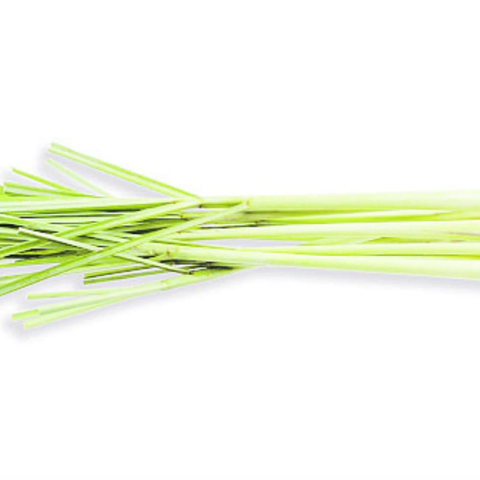 Limoncillo (lemongrass): Funciona muy bien para ayudar al sistema linfático a eliminar toxinas. Echar un par de gotas puro en una jarra de agua te ayuda a detoxificar y, en el aire, es bueno para liberar las emociones tóxicas o negativas. (Shutterstock)