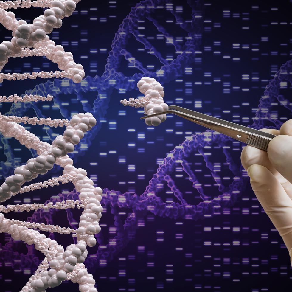 Los científicos aseguran que esta es la prueba de que podemos hacer la edición genética de estas células con seguridad.  (Shutterstock)