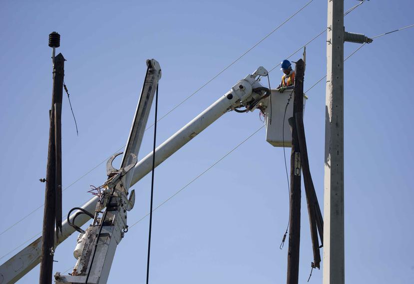 Según la corporación pública, los postes ya no son un problema en cuanto a la cantidad de materiales necesarios para restablecer el servicio eléctrico. (GFR Media)